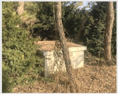  2024Ÿ��579842  �����