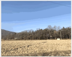  2024Ÿ��579842  �����