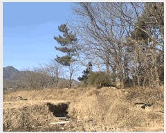  2024Ÿ��579842  �����