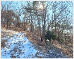  2024Ÿ��584608  �Ӿ߰��