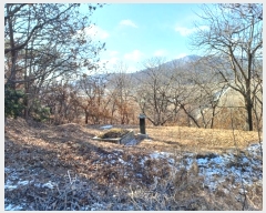  2024Ÿ��584608  �Ӿ߰��