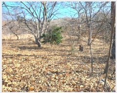  2024Ÿ��584608  �Ӿ߰��