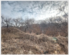  2024Ÿ��584608  �Ӿ߰��