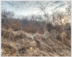  2024Ÿ��584608  �Ӿ߰��