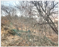  2024Ÿ��584608  �Ӿ߰��