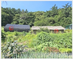  2024Ÿ��8326 ��õ ��籸 ��� 156       ���ð��