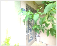  2024Ÿ��8326 ��õ ��籸 ��� 156       ���ð��