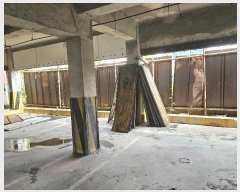  2024Ÿ11148 õ ߱ ׵7 58-114       ٸü,󰡰