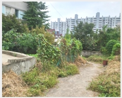  2024Ÿ��11803 ��õ ����Ȧ�� ���͵� 36-20       �ܵ�����,�����ð��