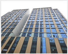  2024Ÿ��12912  ���ǽ��ڰ��