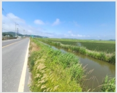  2024Ÿ536852 õ ȭ   1504-12      ()