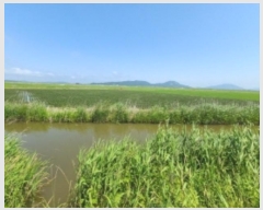  2024Ÿ536852 õ ȭ   1504-12      ()