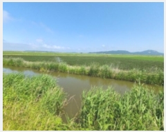  2024Ÿ536852 õ ȭ   1502-10      ()