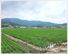  2024Ÿ536852 õ ȭ   741      ()