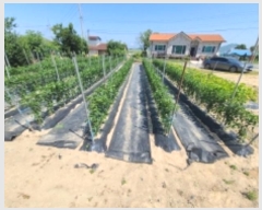  2024Ÿ536852 õ ȭ   741      ()