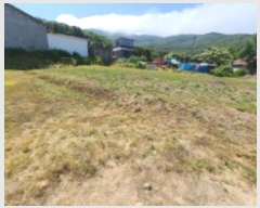  2024Ÿ536852 õ ȭ   741      ()