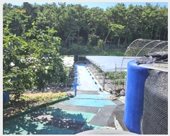  2024Ÿ��552250 ��õ ������ ����� ���� 1521-3      ����(��)���