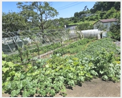  2024Ÿ��552250 ��õ ������ ����� ���� 1521-3      ����(��)���