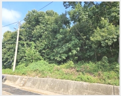  2024Ÿ��552922  �Ӿ߰��