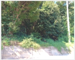  2024Ÿ��552922  �Ӿ߰��