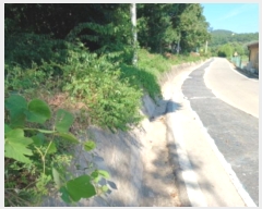  2024Ÿ��552922  �Ӿ߰��