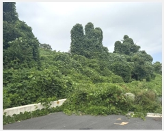  2024Ÿ553772 õ ߱ ϵ 1286-7       ()