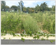  2024Ÿ553772 õ ߱ ϵ 1286-7       ()