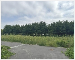  2024Ÿ553772 õ ߱ ϵ 1286-7       ()