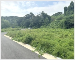  2024Ÿ553772 õ ߱ ϵ 1286-7       ()