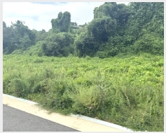  2024Ÿ553772 õ ߱ ϵ 1286-7       ()