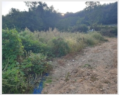  2024Ÿ��563786 ��õ �߱� ���ǵ� 7-2       ����(��1)���