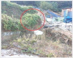  2024Ÿ��563786 ��õ �߱� ���ǵ� 7-2       ����(��1)���