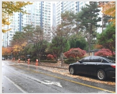  2024Ÿ��567870  ����Ʈ���