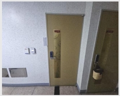  2024Ÿ��568354  ����Ʈ���