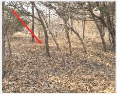  2024Ÿ��573394 ��õ ���� ������ ��113-7       ����(�Ӿ�)���