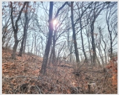  2024Ÿ��573394 ��õ ���� ������ ��113-7       ����(�Ӿ�)���