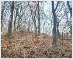  2024Ÿ��573394 ��õ ���� ������ ��113-7       ����(�Ӿ�)���