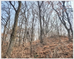  2024Ÿ��573394 ��õ ���� ������ ��113-7       ����(�Ӿ�)���