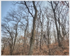  2024Ÿ��573394 ��õ ���� ������ ��113-7       ����(�Ӿ�)���