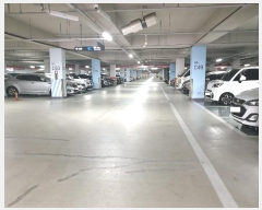  2024Ÿ��583421  ����Ʈ���