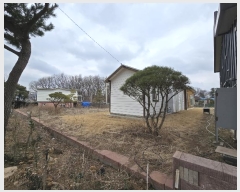  2024Ÿ��3031  �������