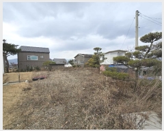  2024Ÿ��3031  �������