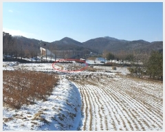  2024Ÿ��17061 ��õ ��ȭ�� ��ȭ�� ��ȭ�� 34-2      ����(��)���