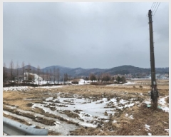  2024Ÿ��17061 ��õ ��ȭ�� ��ȭ�� ��ȭ�� 34-2      ����(��)���