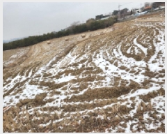  2024Ÿ��17061 ��õ ��ȭ�� ��ȭ�� ��ȭ�� 34-2      ����(��)���