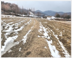  2024Ÿ��17061 ��õ ��ȭ�� ��ȭ�� ��ȭ�� 34-2      ����(��)���