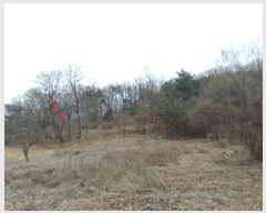  2024Ÿ505896 õ ȭ  ȭ 394-2      (Ӿ)