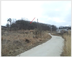  2024Ÿ505896 õ ȭ  ȭ 394-2      (Ӿ)