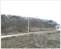  2024Ÿ505896 õ ȭ  ȭ 394-2      (Ӿ)