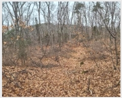  2024Ÿ505896 õ ȭ  ȭ 394-2      (Ӿ)